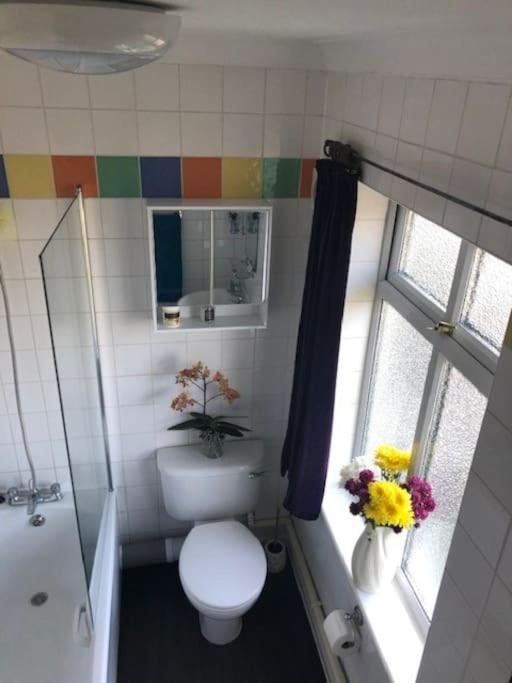 Bright & Spacious First Floor Apartment Cambridge エクステリア 写真